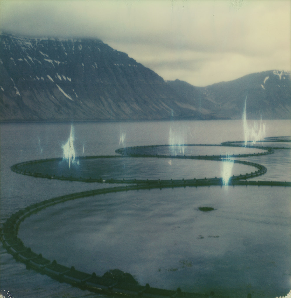 16 Questions about One Photo: Fish Farming in Iceland on Film