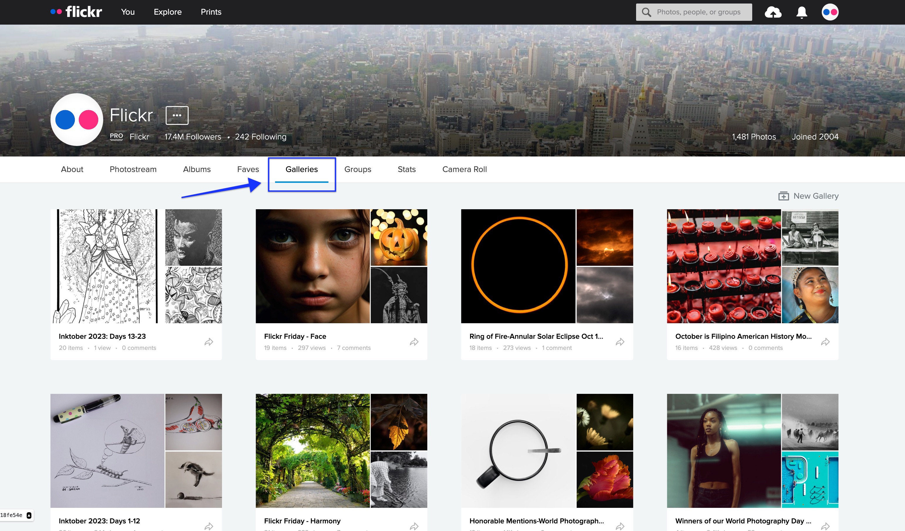 Get to know Flickr Galleries | Flickr Blog